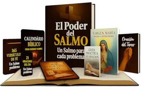 Agrupamento Fundo transparente 25 Agrupamento Fundo transparente 25
